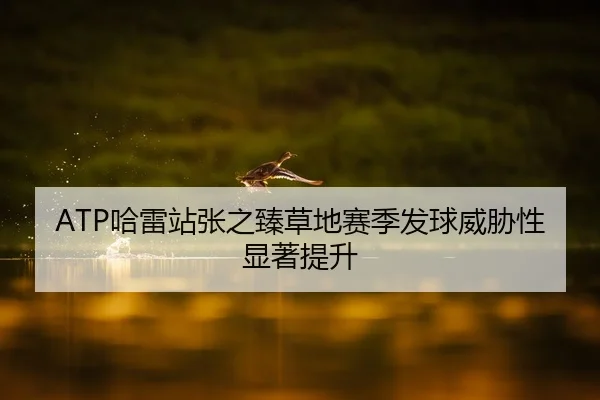 ATP哈雷站张之臻草地赛季发球威胁性显著提升